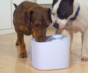 Starlyf Pet Fountain a 49,99€