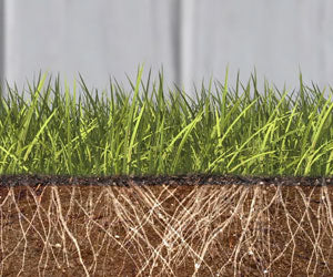Grass Seed Mat a 59,99€