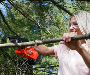 Minichain Saw a 386 PLN