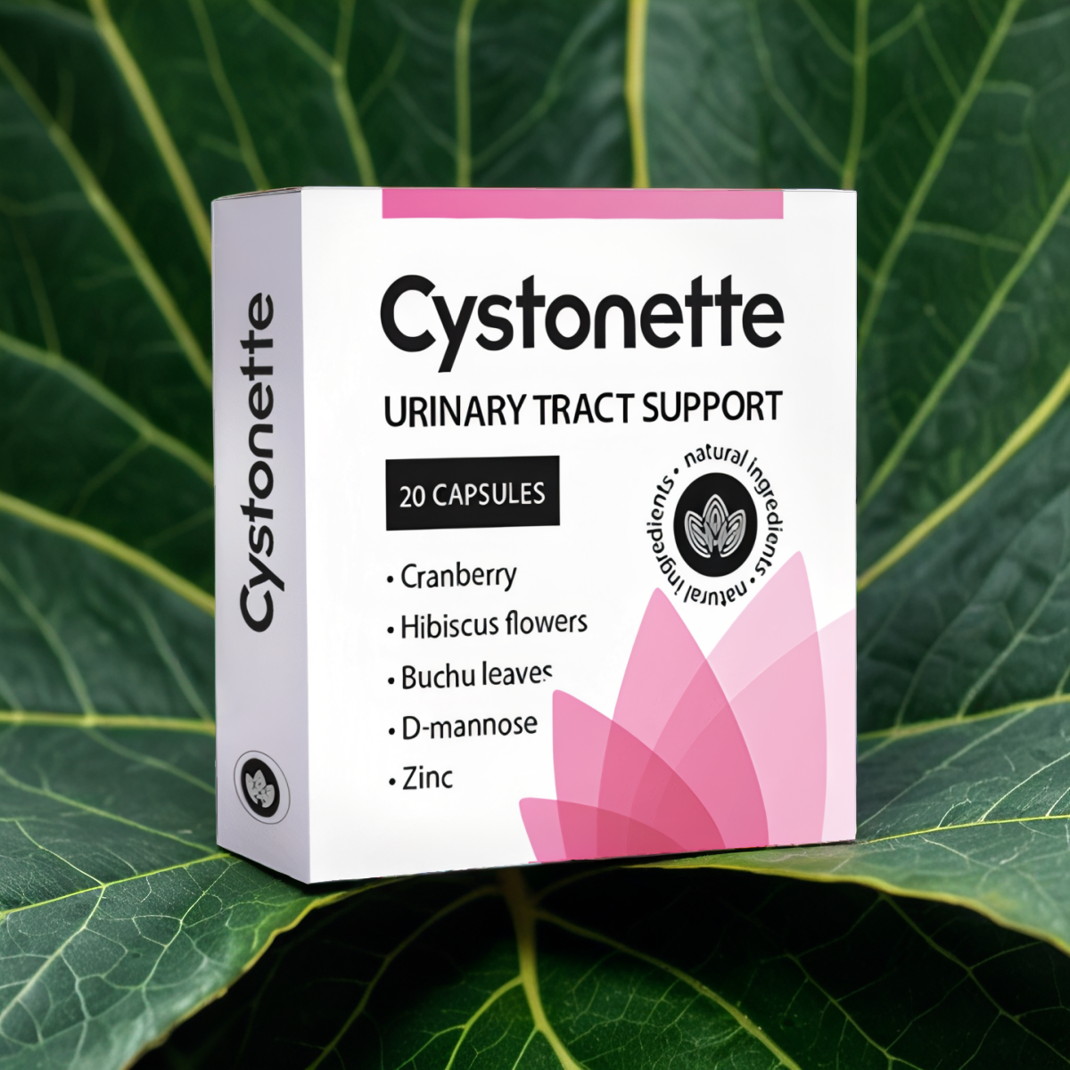 Cystonette