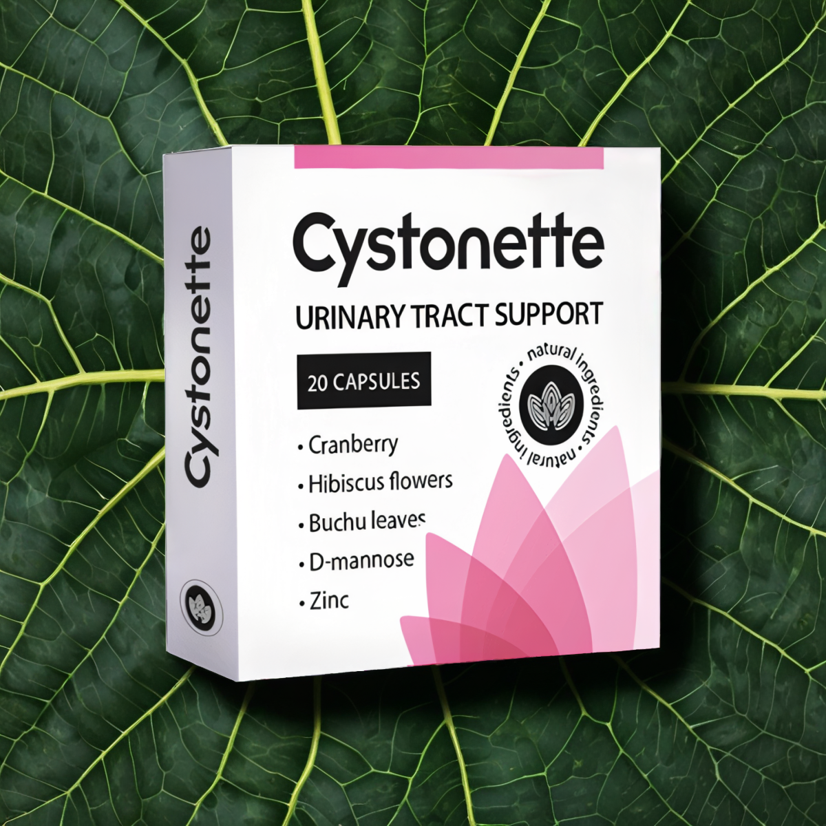 Cystonette