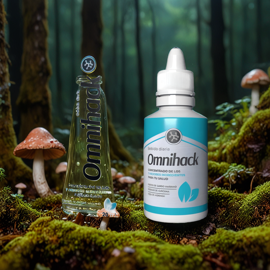 Omnihack Co Vision