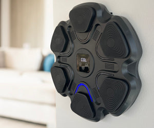 Boxing Music Box a 298 LEU